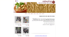Desktop Screenshot of koralek-almog.com